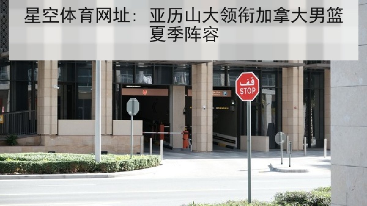 星空体育网址: 亚历山大领衔加拿大男篮夏季阵容