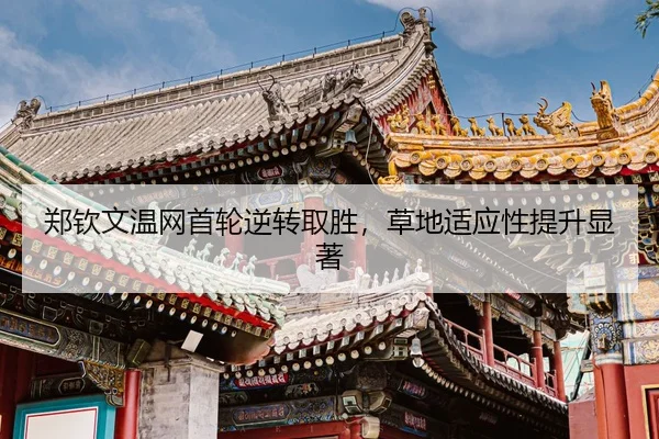 zheng-qin-wen-wen-wang-shou-lun-ni-zhuan-qu-sheng-cao-di-shi-ying-xing-ti-sheng-xian-zhu-3-927.jpg